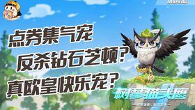 飞车宠物最新爆料,神秘宠物即将亮相,激战一触即发! 第3张 飞车宠物最新爆料,神秘宠物即将亮相,激战一触即发! 第3张